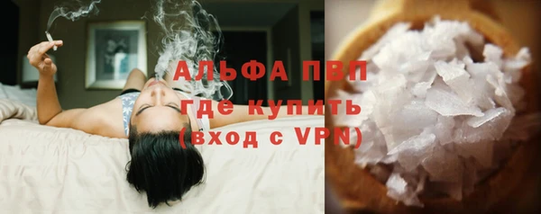 мяу мяу мука Инсар