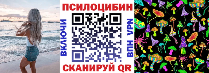 Купить  Каменск-Шахтинский  Галлюциногенные грибы GOLDEN TEACHER 