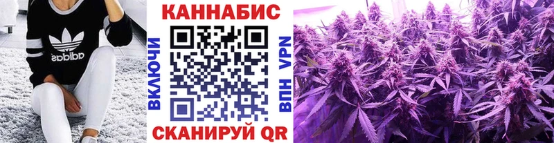 Купить закладки  Каменск-Шахтинский  Конопля семена 